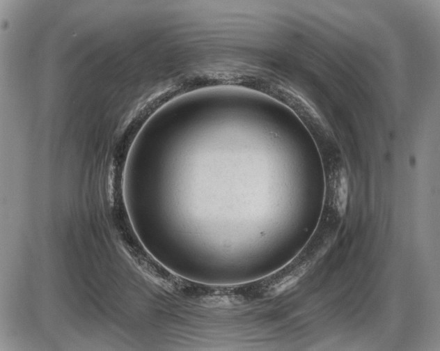 X0000086060404200703231247