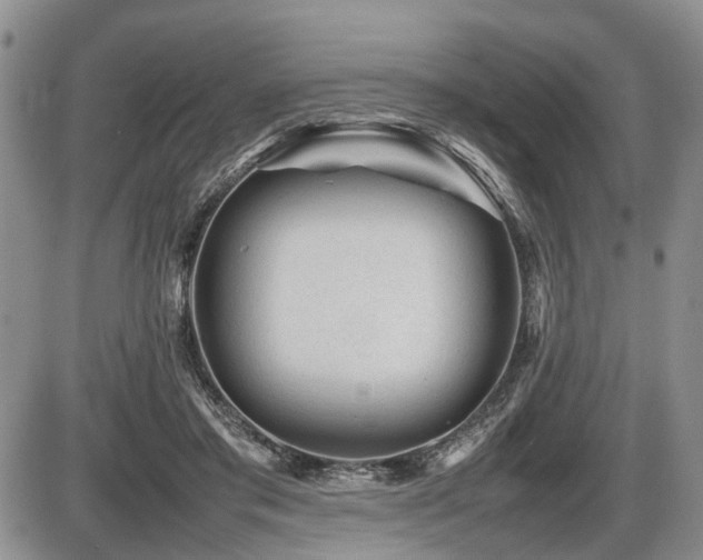 X0000086060405200703231247