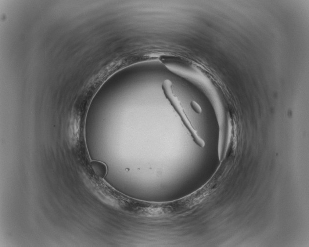 X0000086060406200703231247