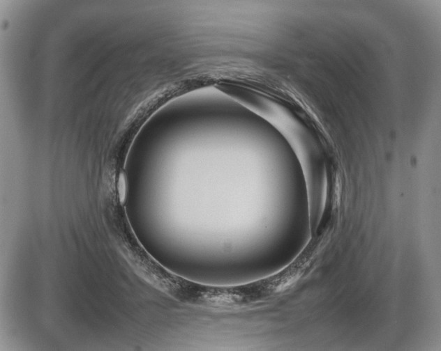 X0000086060407200703231247