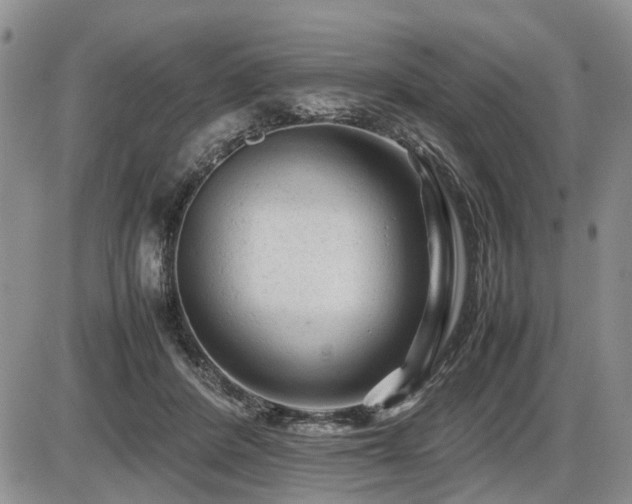 X0000086060408200703231247