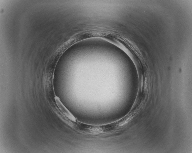 X0000086060409200703231247