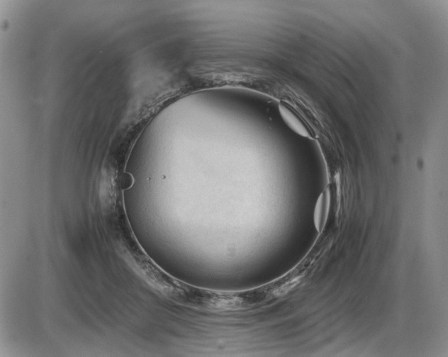 X0000086060410200703231247