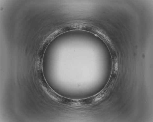 X0000086060411200703231247