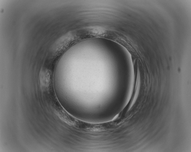 X0000086060412200703231247