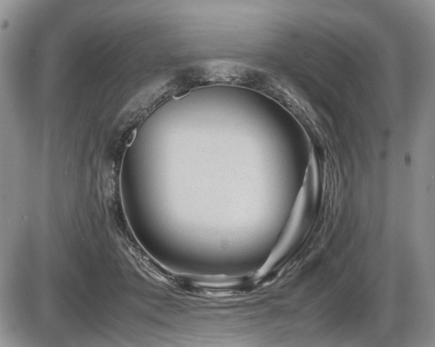 X0000086060413200703231247