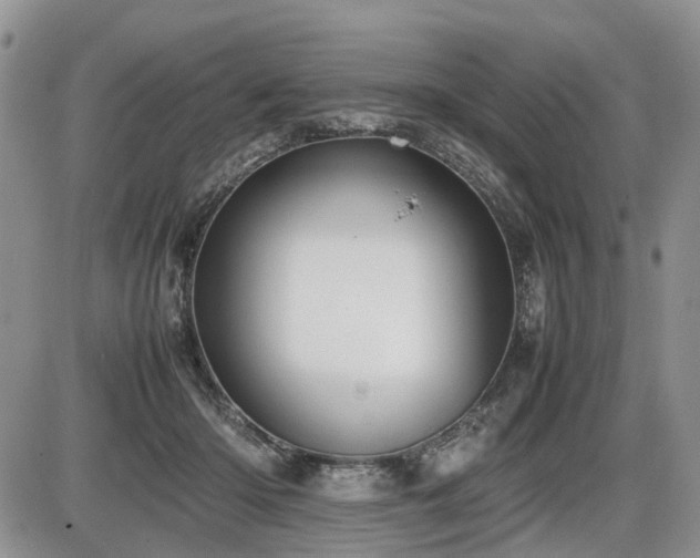 X0000086060414200703231247