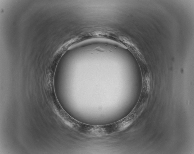 X0000086060415200703231247