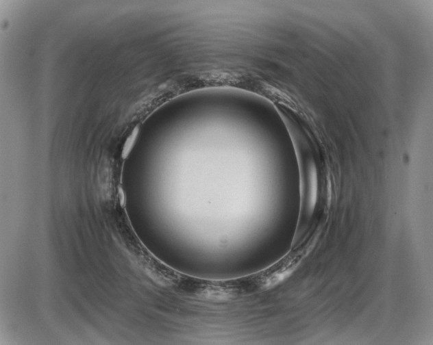 X0000086060416200703231247