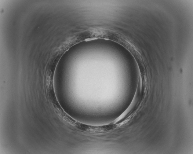 X0000086060417200703231247