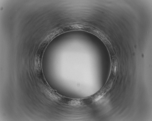 X0000086060418200703231247