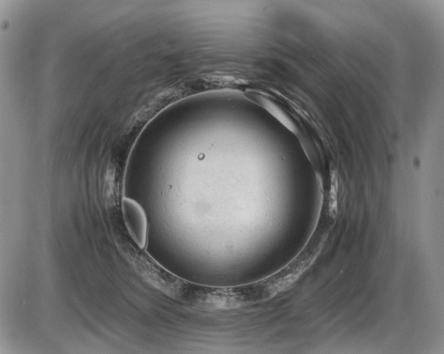 X0000086060420200703231247