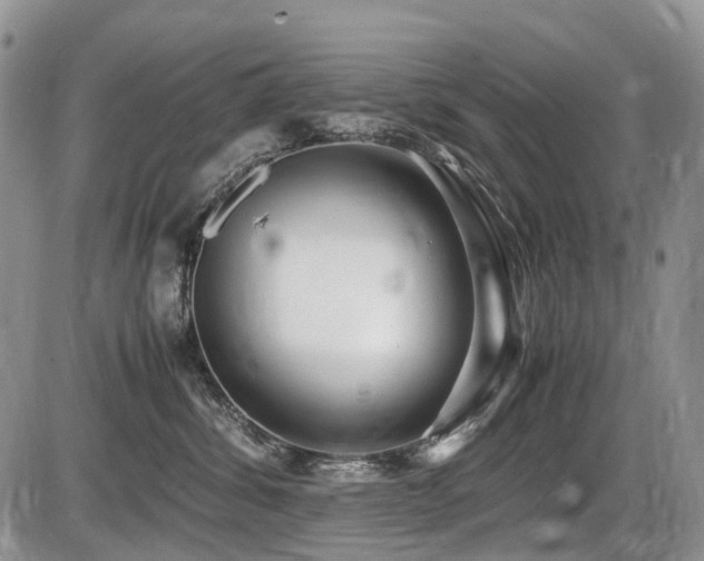 X0000086060428200703231246