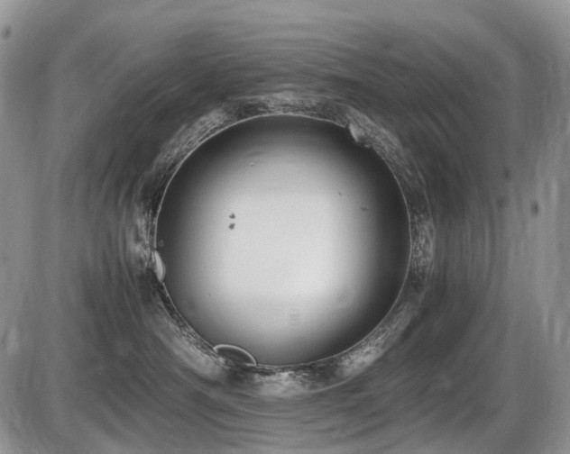 X0000086060430200703231246