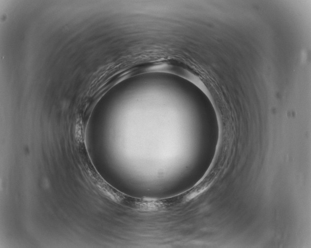 X0000086060432200703231246