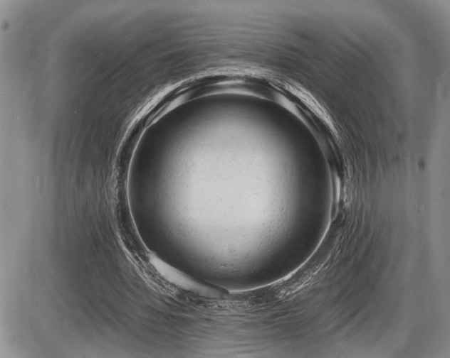 X0000086060436200703231246