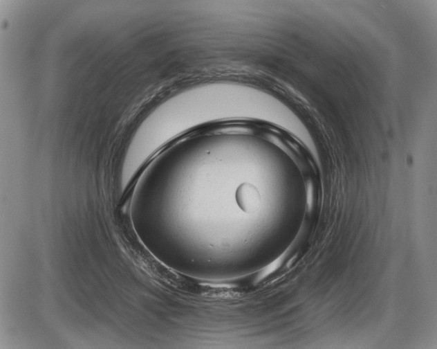 X0000086060452200703231246