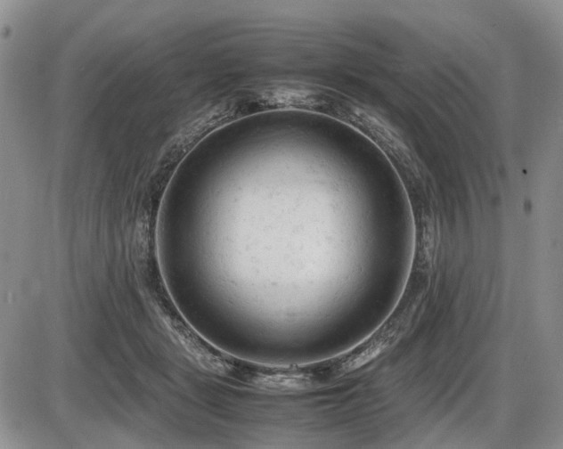 X0000086060461200703231246