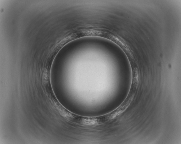 X0000086060469200703231246