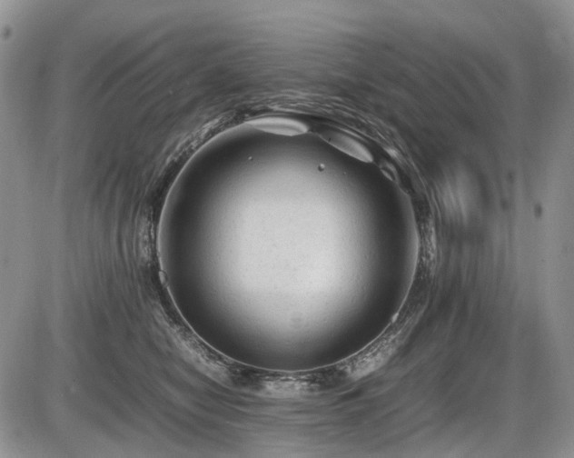 X0000086060470200703231246