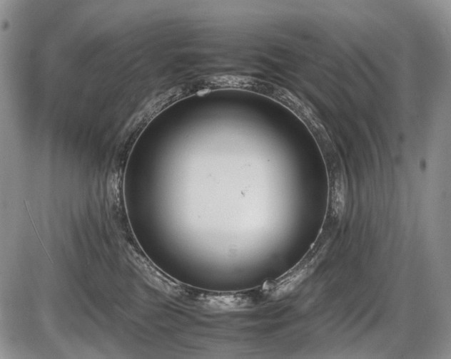 X0000086060473200703231246