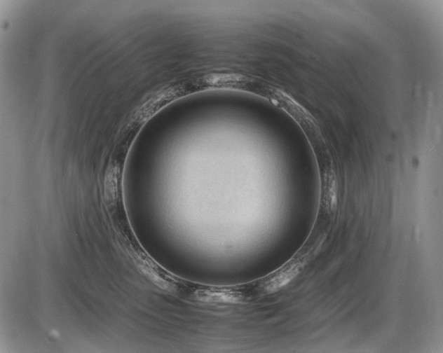 X0000086060475200703231246