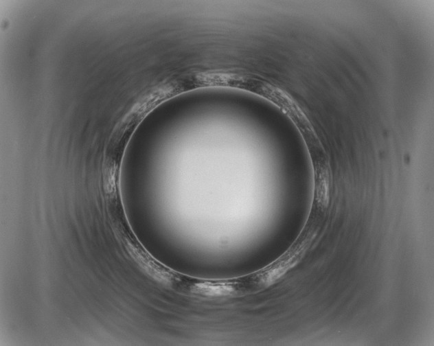 X0000086060477200703231246
