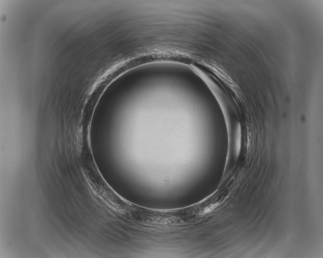 X0000086060488200703231245
