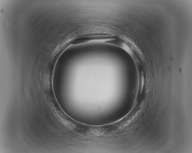 X0000086060489200703231245