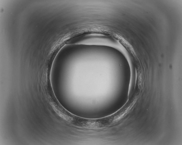 X0000086060493200703231245