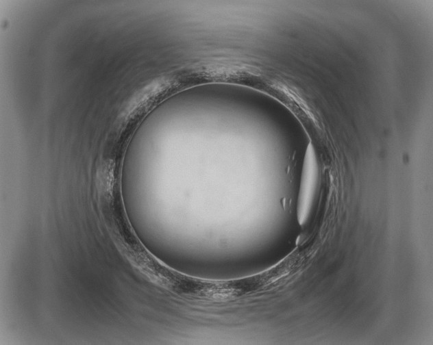 X0000086060495200703231245
