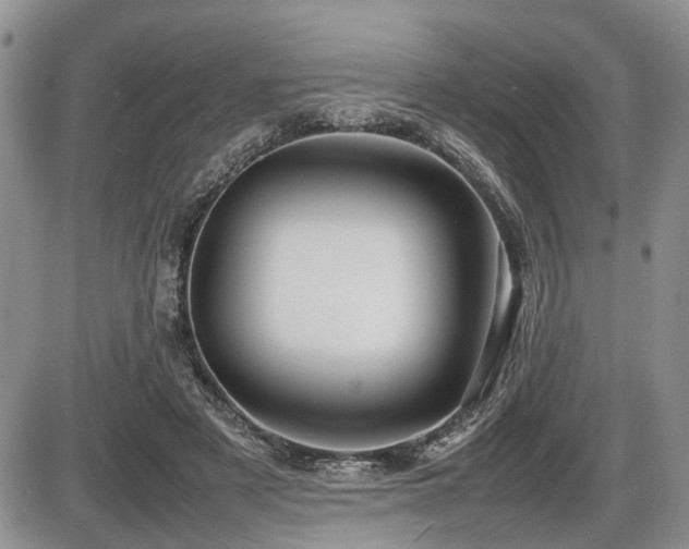 X0000086060497200703231245