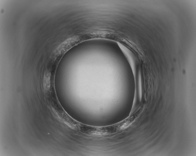 X0000086060504200703231245