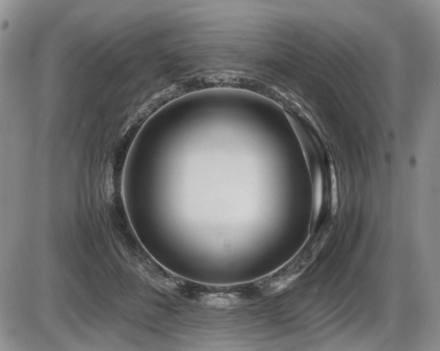 X0000086060508200703231245