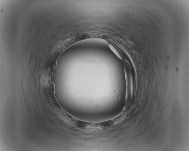X0000086060515200703231245