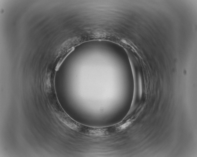 X0000086060516200703231245