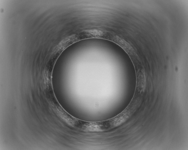 X0000086060518200703231245