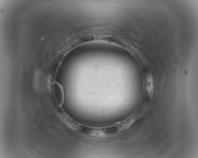 X0000086060519200703231245