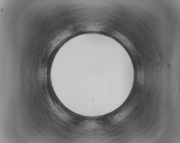 X0000086060534200703231244