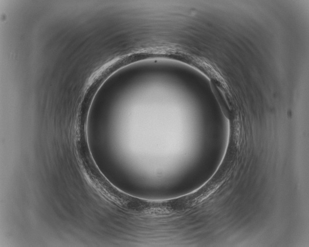 X0000086060536200703231244
