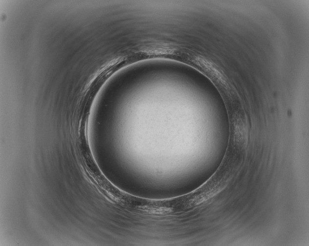 X0000086060539200703231244