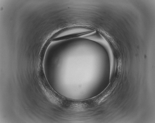 X0000086060540200703231244