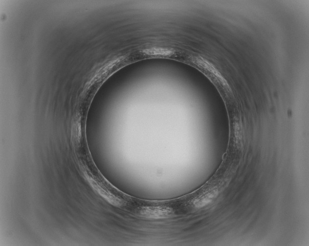 X0000086060541200703231244