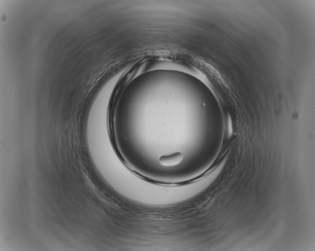 X0000086060546200703231244