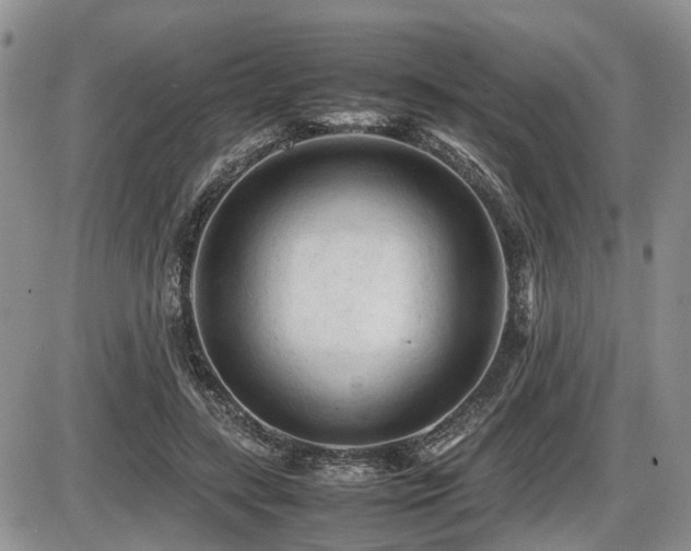 X0000086060547200703231244