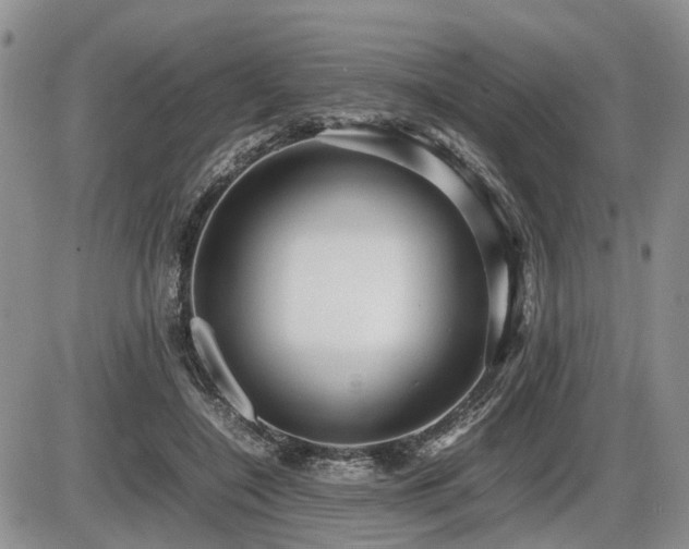 X0000086060548200703231244