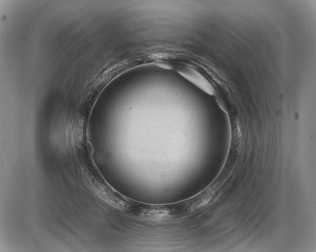 X0000086060554200703231244