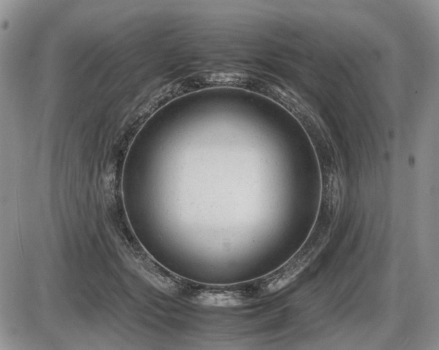 X0000086060557200703231244