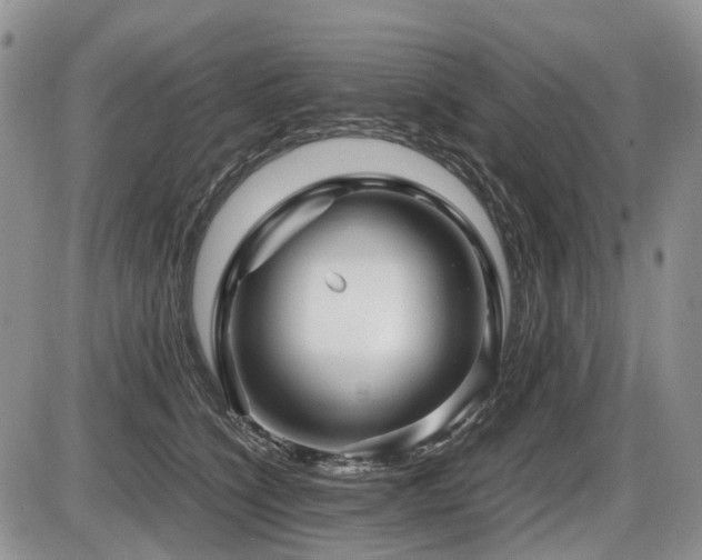 X0000086060564200703231244