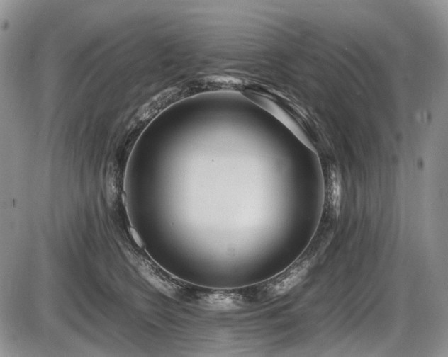 X0000086060566200703231244